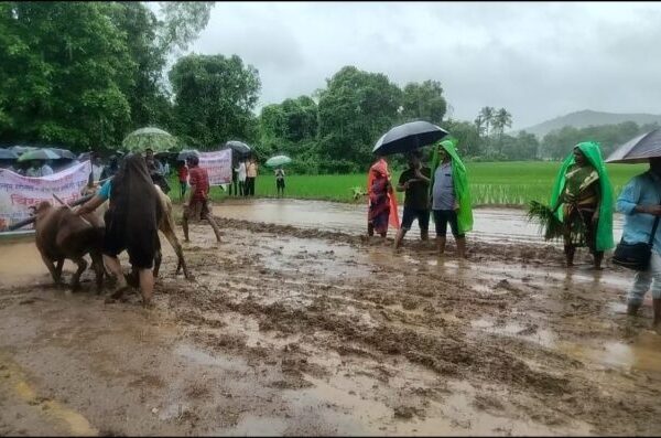 हुमरमळा येथे कुडाळ पंचायत समितीचा चिखलधुणी उपक्रम उत्साहात संपन्न