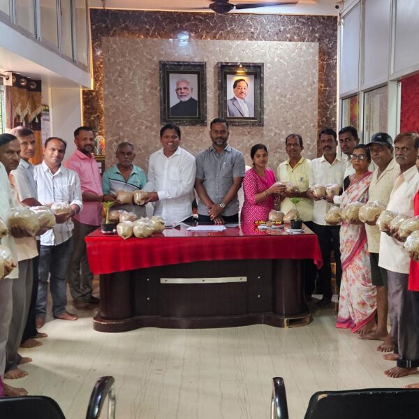 कलमठ ग्रामपंचायत वतीने शेतकऱ्यांना मोफत भात बियाणे वाटप