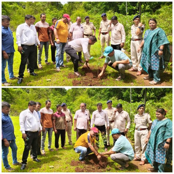 जागतिक पर्यावरण दिनानिमित्त तळेरे ग्रामपंचायत आणि सामाजिक वनीकरण यांच्या संयुक्त विद्यमाने तळेरे स्मशानभूमी परिसरात वृक्षारोपण