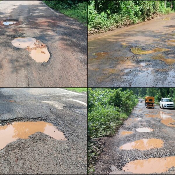 धामापूर ते नेरूरपार रस्त्यावर खड्डेच खड्डे; वाहनचालक हैराण