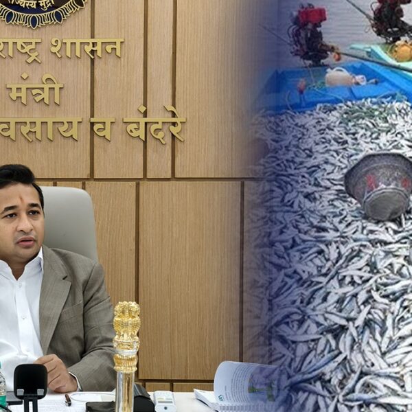 महाराष्ट्रात मत्स्योत्पादन ४७ टक्क्यांनी वाढले