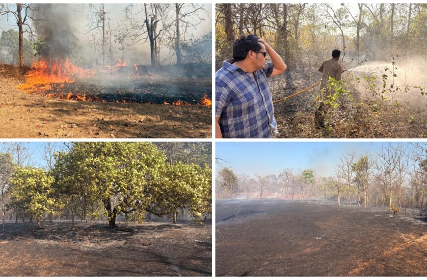 बांदा शहरातील दोन ठिकाणी आगीत काजू बागायत खाक