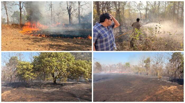 बांदा शहरातील दोन ठिकाणी आगीत काजू बागायत खाक