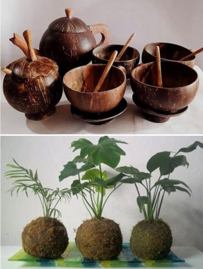 महिलांसाठी मोफत कौशल्य विकास प्रशिक्षणचे नगरपंचायत मार्फत आयोजन