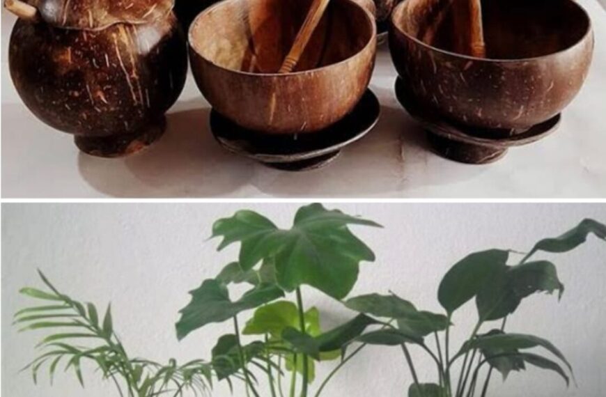 महिलांसाठी मोफत कौशल्य विकास प्रशिक्षणचे नगरपंचायत मार्फत आयोजन