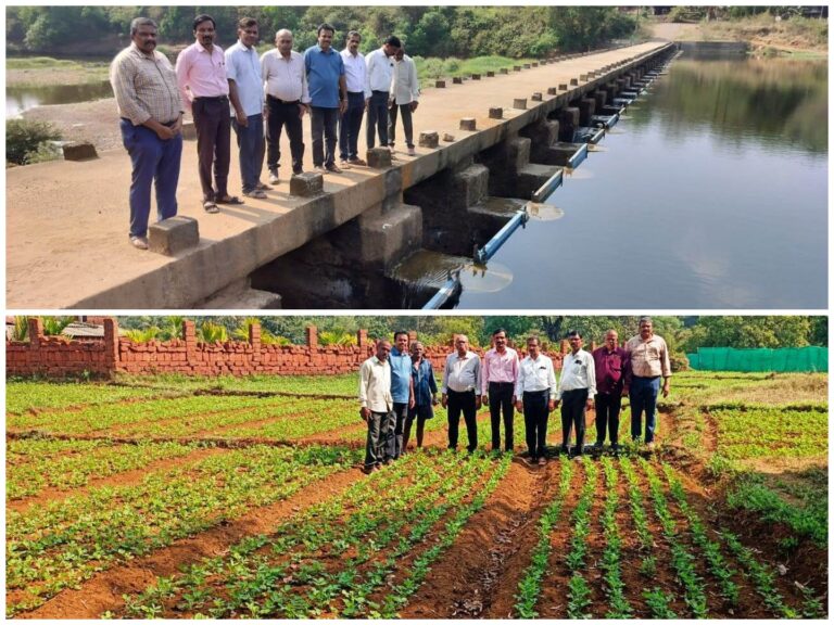 किर्लोस बंधाऱ्यामुळे सिंचन क्षेत्रात मोठी वाढ
