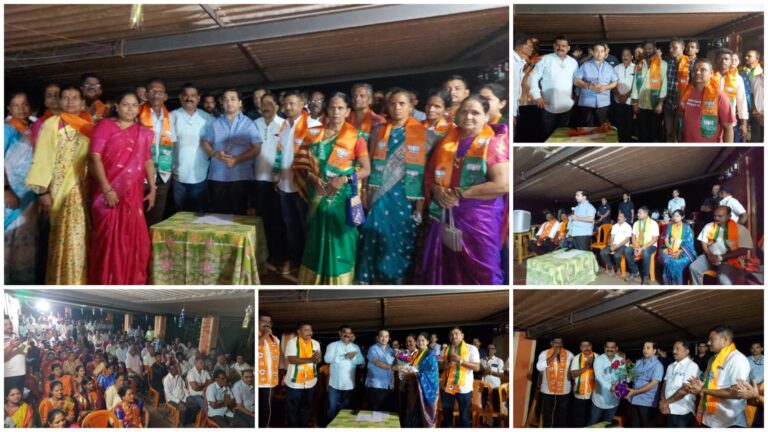 खारेपाटण येथे पं. स. उमेदवाराच्या प्रचारार्थ महायुतीची कॉर्नर सभा संपन्न