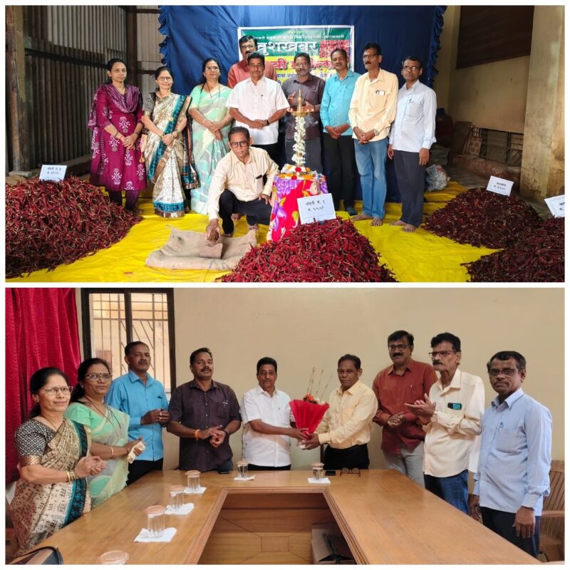 मिरची महोत्सव मधून ग्राहकांना दर्जेदार मिरची उपलब्ध – विठ्ठल देसाई