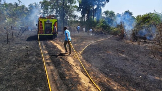 विजवितरणच्या सासोली सबस्टेशन आवारात आग लागल्याने उडाली तारांबळ