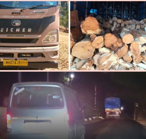 अवैध खैर लाकूड वाहतुकीला वनविभागाचा ब्रेक