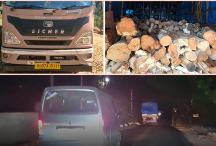 अवैध खैर लाकूड वाहतुकीला वनविभागाचा ब्रेक