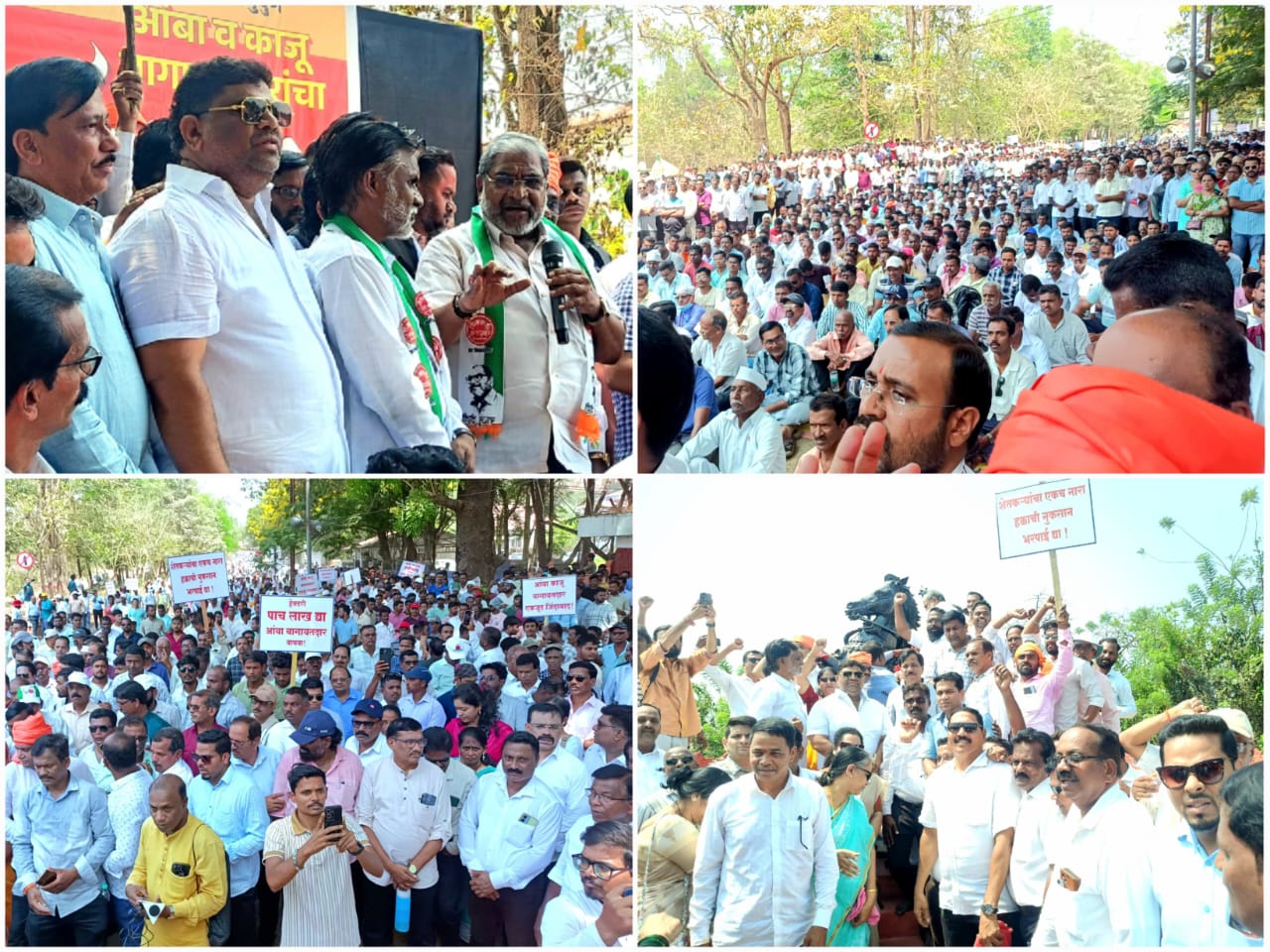 हजारो आंबा, काजू शेतकऱ्यांनी जिल्हाधिकारी कार्यालयावर काढला भव्य आक्रोश मोर्चा