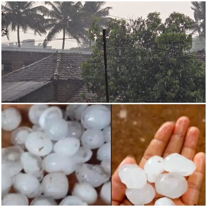 वैभववाडी तालुक्यात वादळी वाऱ्यासह गारांचा पाऊस