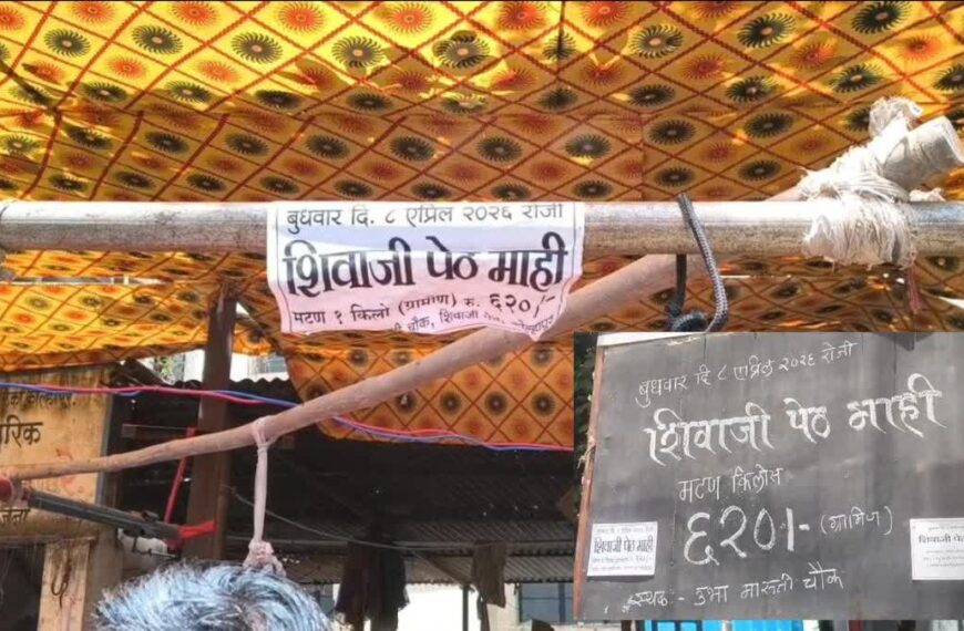 शिवाजी पेठेत पारंपरिक माही यात्रेला मटण खरेदीसाठी नागरिकांची मोठी गर्दी पहाटेपासूनच लांबच लांब रांगा