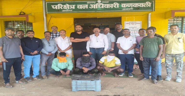 तळेबाजारमध्ये 8 कोटी रुपये किंमतीचे अंबर ग्रीस जप्त