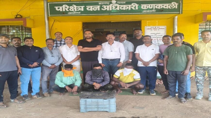 तळेबाजारमध्ये 8 कोटी रुपये किंमतीचे अंबर ग्रीस जप्त