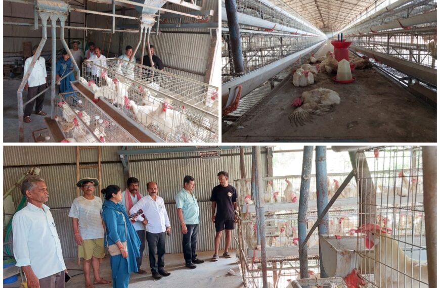 *चिंचवली येथे झालेल्या चक्रीवादळामुळे ५०० पक्षी मृत*