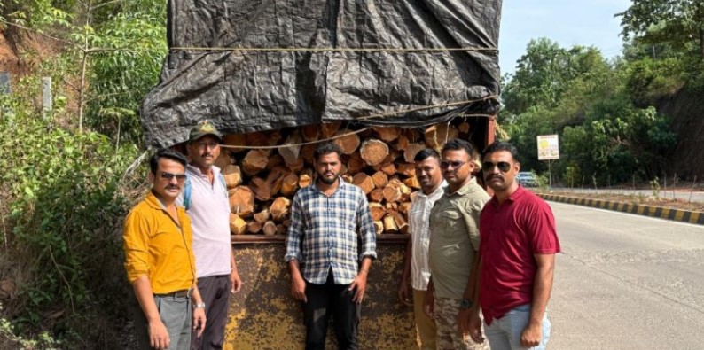 १२ लाखांचे अवैध खैर लाकूड जप्त ; सावंतवाडी वनविभागाची कारवाई