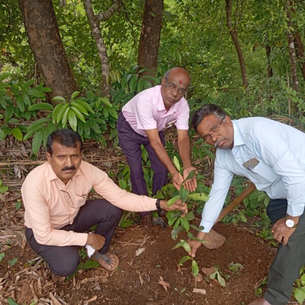 कनेडी प्रशालेत जागतिक पर्यावरण दिनानिमित्त वृक्ष लागवड