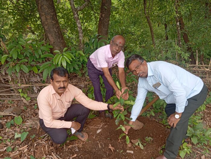 कनेडी प्रशालेत जागतिक पर्यावरण दिनानिमित्त वृक्ष लागवड