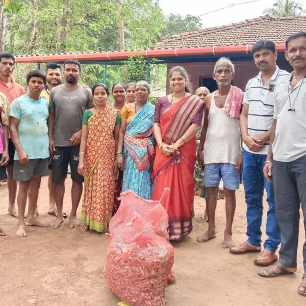 सेंद्रिय हळद लागवड शेतकऱ्यांना लाभदायी – अपर्णा सातोसकर