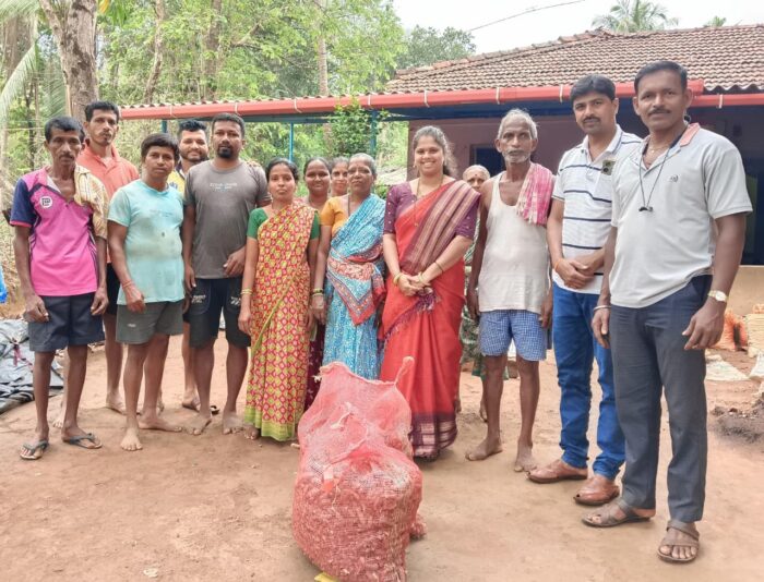 सेंद्रिय हळद लागवड शेतकऱ्यांना लाभदायी – अपर्णा सातोसकर