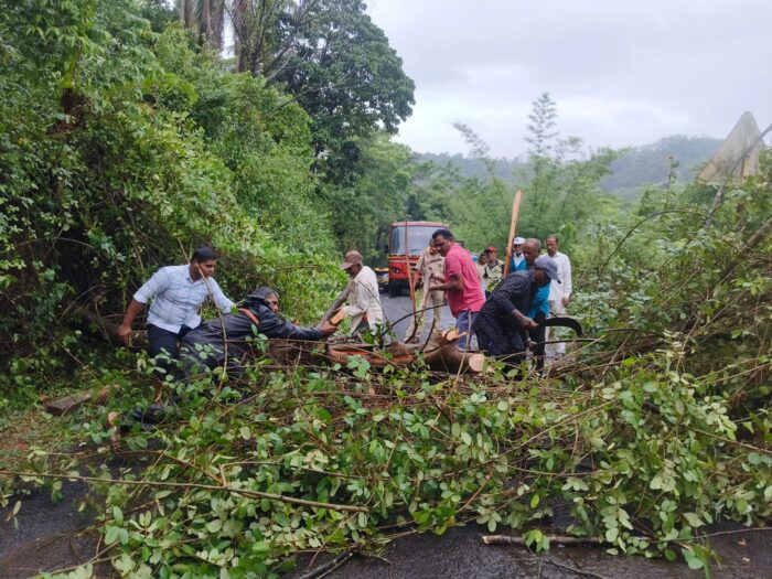 निमअरुळे येथे रस्त्यावर झाड कोसळल्याने तासभर वाहतूक ठप्प