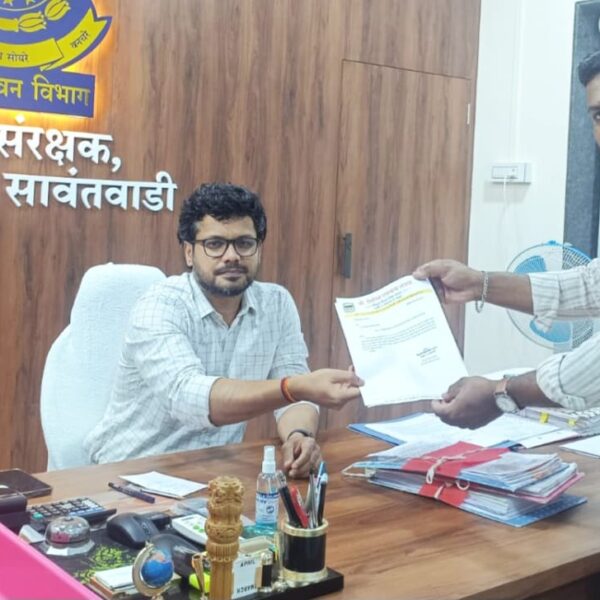 इन्सुली घाटातील धोकादायक झाडे तातडीने तोडण्याची मागणी