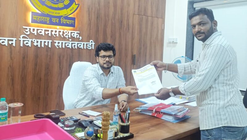 इन्सुली घाटातील धोकादायक झाडे तातडीने तोडण्याची मागणी