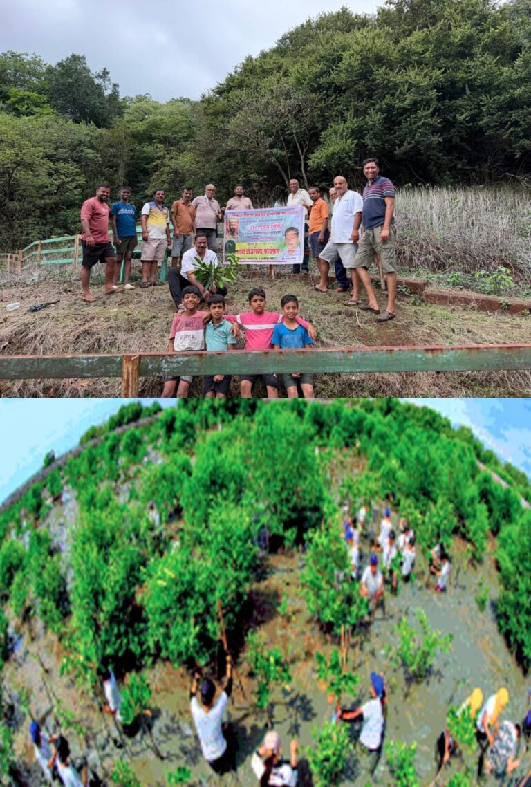 घाट पायथा ते दाजीपूर खिंड दरम्यान, सह्याद्रीच्या रानावनात आंबावृक्ष व बिजारोपण करून फोंडाघाट युवाईचा अभिनव उपक्रम !