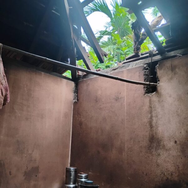 घराच्या छपरावर माड पडुन नुकसान