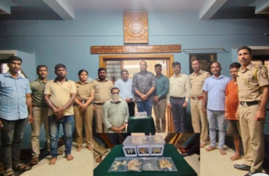 बिबट्याची नखे आणि दात सोनाराच्या दुकानात