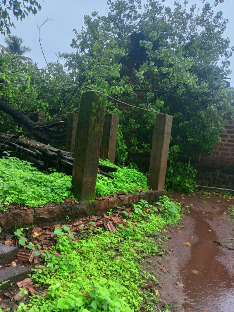 वादळी पावसाचा तडाखा; उंबर्डे येथे घरावर झाड कोसळून मोठे नुकसान