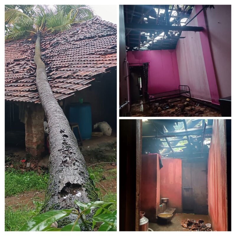 इन्सुली परबवाडी येथे वादळी वाऱ्यात माडाचे झाड घरावर; घराचे मोसुमारे&hellip;