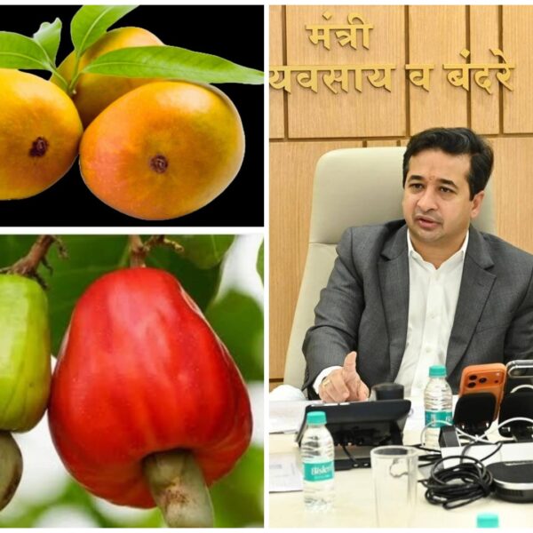 पालकमंत्री नाम.नितेश राणे यांचे मुळे आंबा बागायतदारामध्ये, दरवर्षीपेक्षा लवकर मिळालेल्या विमा नुकसान भरपाई बद्दल समाधान !