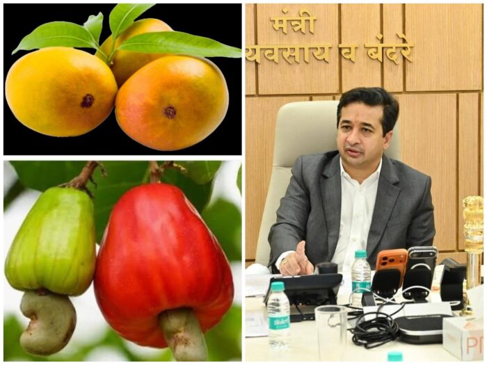 पालकमंत्री नाम.नितेश राणे यांचे मुळे आंबा बागायतदारामध्ये, दरवर्षीपेक्षा लवकर मिळालेल्या&hellip;