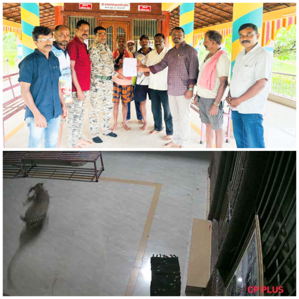 बेळणेत बिबट्याकडून कुत्र्याची शिकार ; गावात घबराट