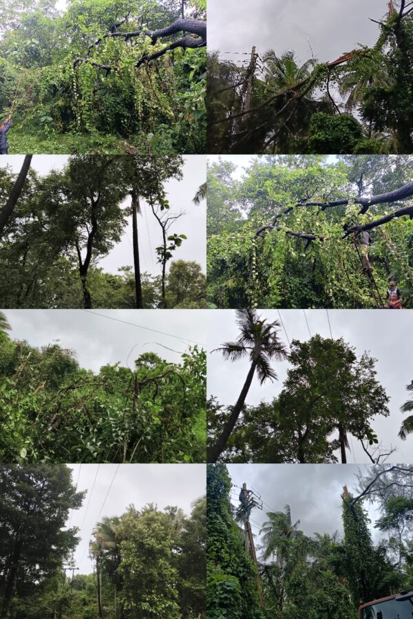 वादळ आणि पावसामुळे ६७ गावांमधील वीज पुरवठा बाधित