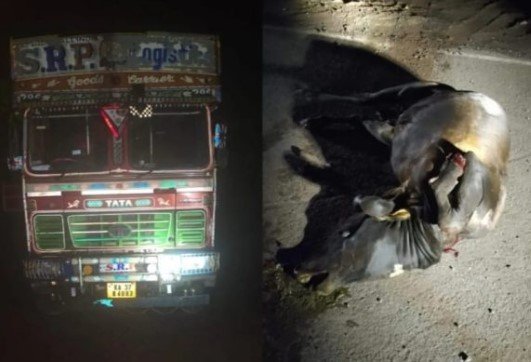 वेदांत काेक कंपनीच्या ओव्हरलाेड वाहतुकीने घेतला निष्पाप बळी