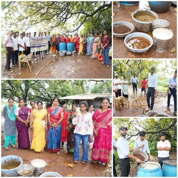 सेंद्रिय खतामध्ये स्वनिर्मित जीवामृत शेतकऱ्यांच्या उत्पन्नाला वरदान – लोरे नंबर&hellip;
