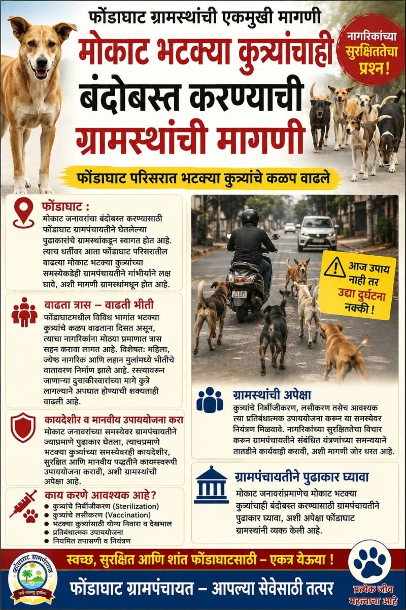 भटक्या कुत्र्यांचा बंदोबस्त करण्याची फोंडाघाट ग्रामस्थांची मागणी