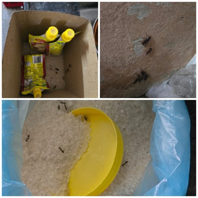 महाविद्यालय जिल्हा रुग्णालयाच्या उपहारगृहामध्ये अन्न व औषध प्रशासनाच्या पथकाने केलेल्या&hellip;