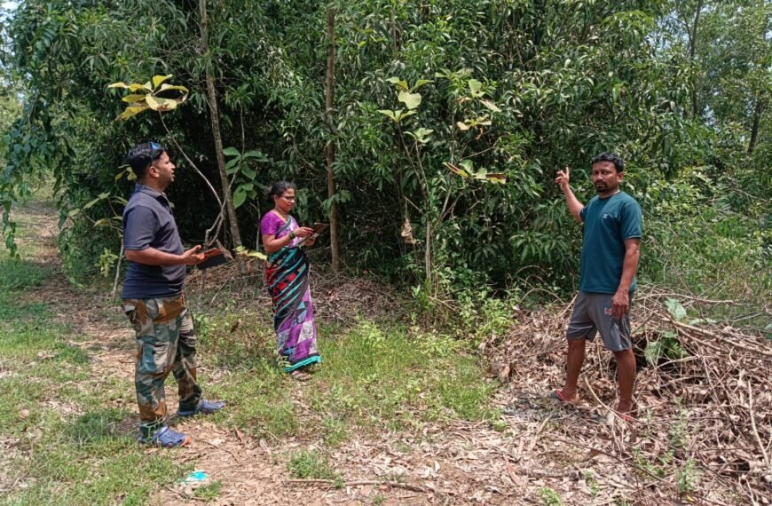 ई-पिक पाहणीच्या सॉफ्टवेअरचा गोंधळ; शेतकरी वैतागले! – व्हाईस चेअरमन विश्वनाथ नाईक