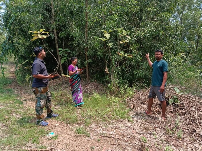 ई-पिक पाहणीच्या सॉफ्टवेअरचा गोंधळ; शेतकरी वैतागले! – व्हाईस चेअरमन विश्वनाथ&hellip;