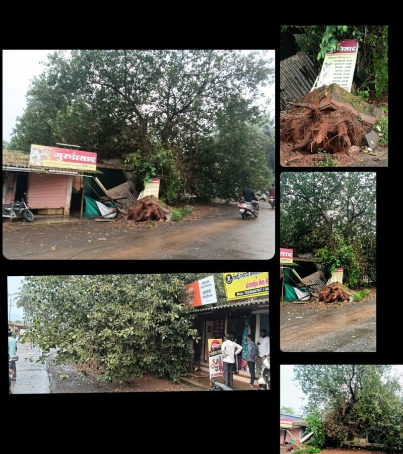 दुपारी झालेल्या चक्रीवादळात, फोंडाघाट लोरे रस्ता चौकातील वडाचे झाड लगतच्या&hellip;