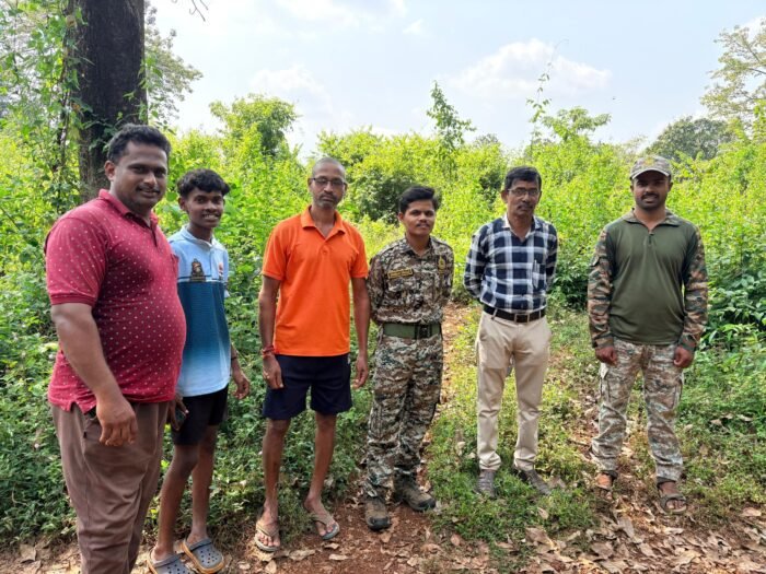 बांद्यात भरवस्तीत बिबट्याचा मुक्त संचार; नागरिकांमध्ये भीतीचे वातावरण