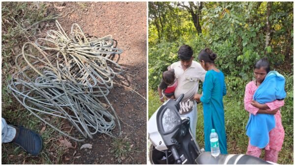 असलदे येथे स्ट्रीट लाईटची ५,५०० रुपयांची तार चोरी करताना तिघे&hellip;