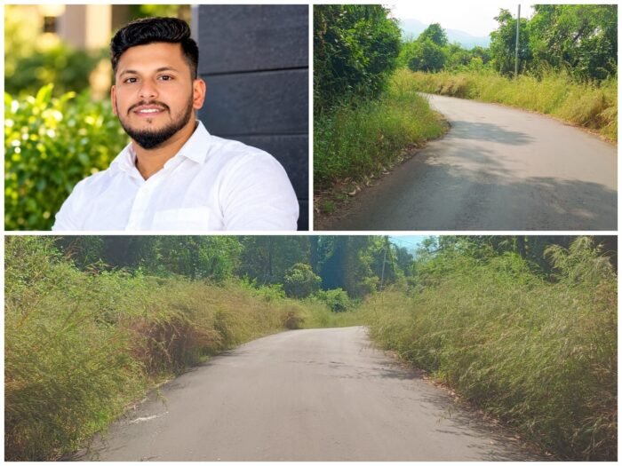 कळसुली रस्त्यावरील वाढलेली झाडी ठरतेय वाहनचालकांसाठी धोकादायक..!